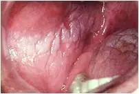 640.webp (26).jpg