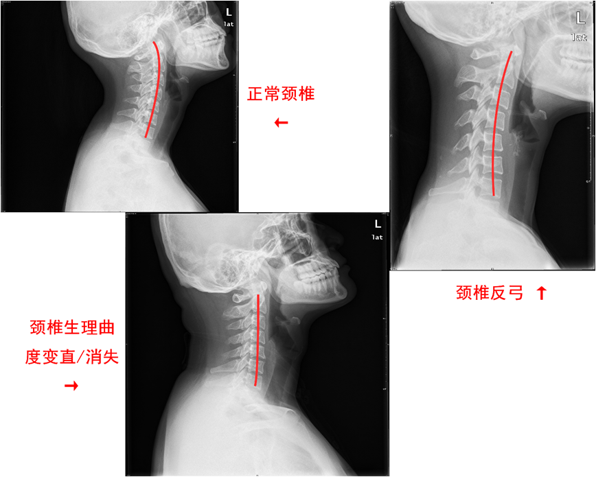 640 (11).png