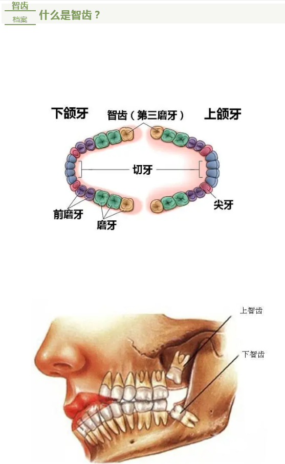 微信图片_20201015083538.png