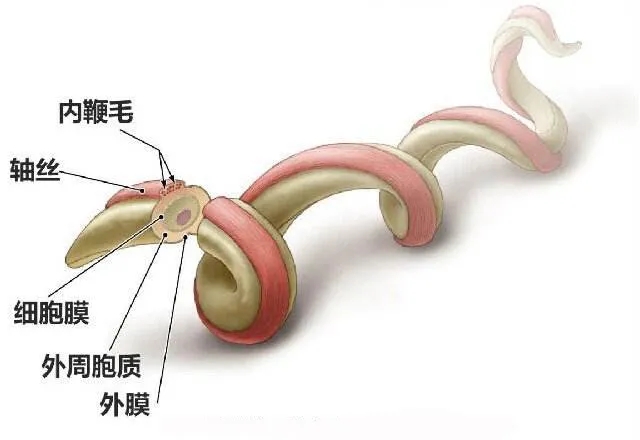 640.webp (36).jpg
