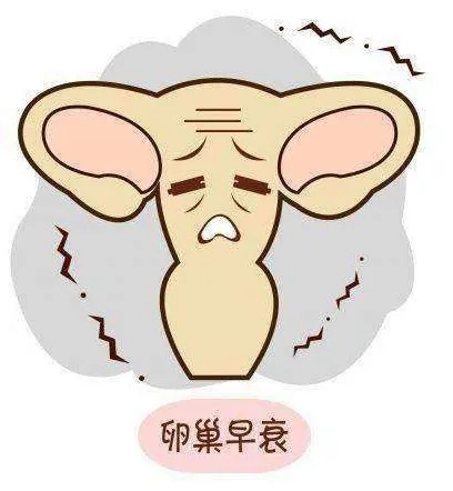 640.webp (24).jpg