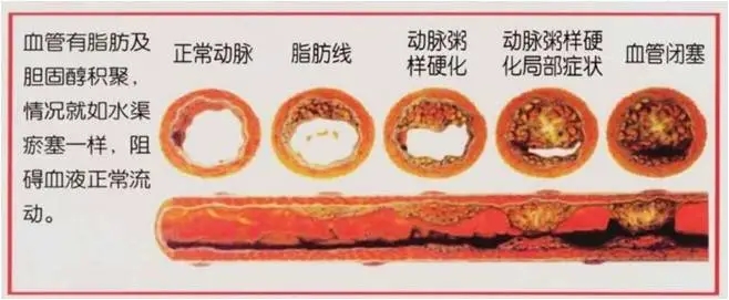 640.webp (23).jpg