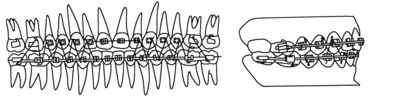 640 (3).png