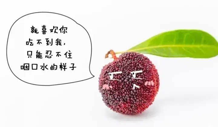 1624286594453397.jpg 640.webp (2).jpg