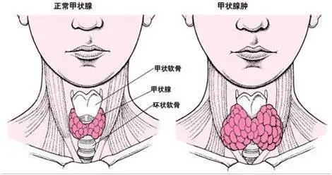 640.webp (19).jpg