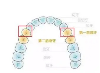 640.webp (10).jpg