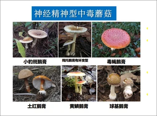 1632058860723326.jpg 640.webp (17).jpg