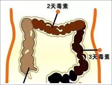 640.webp (66).jpg