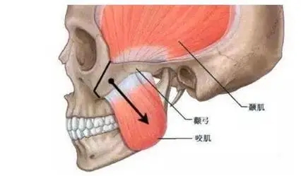 1635075649100930.jpg 640 (1).webp (2).jpg