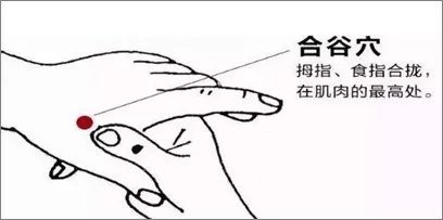 640.webp (28).jpg