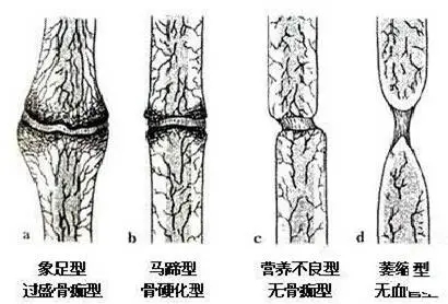 640.webp (22).jpg