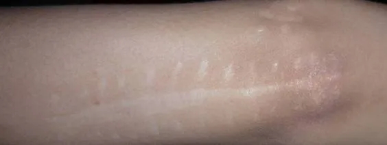 1640844841815216.jpg 640.webp (11).jpg