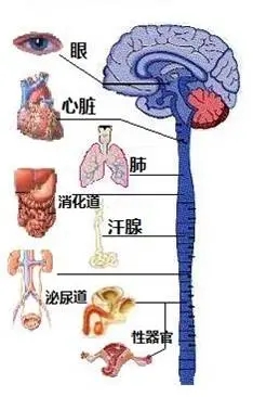 640.webp (26).jpg