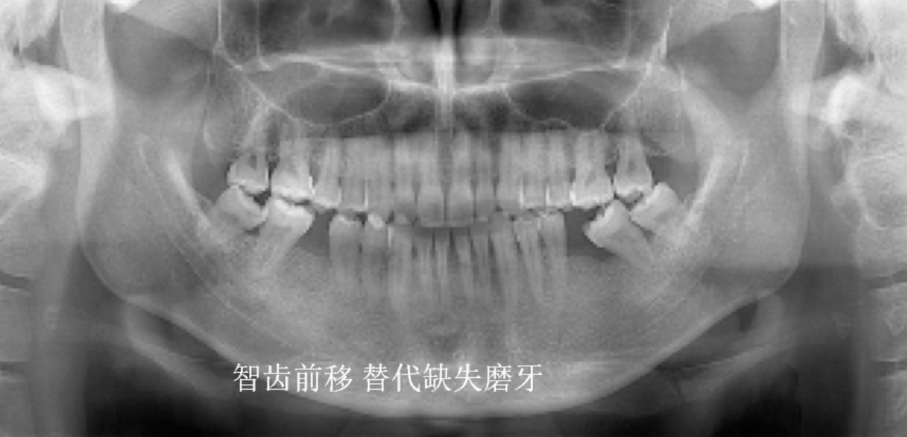 1651048512814737.jpg 1.jpg