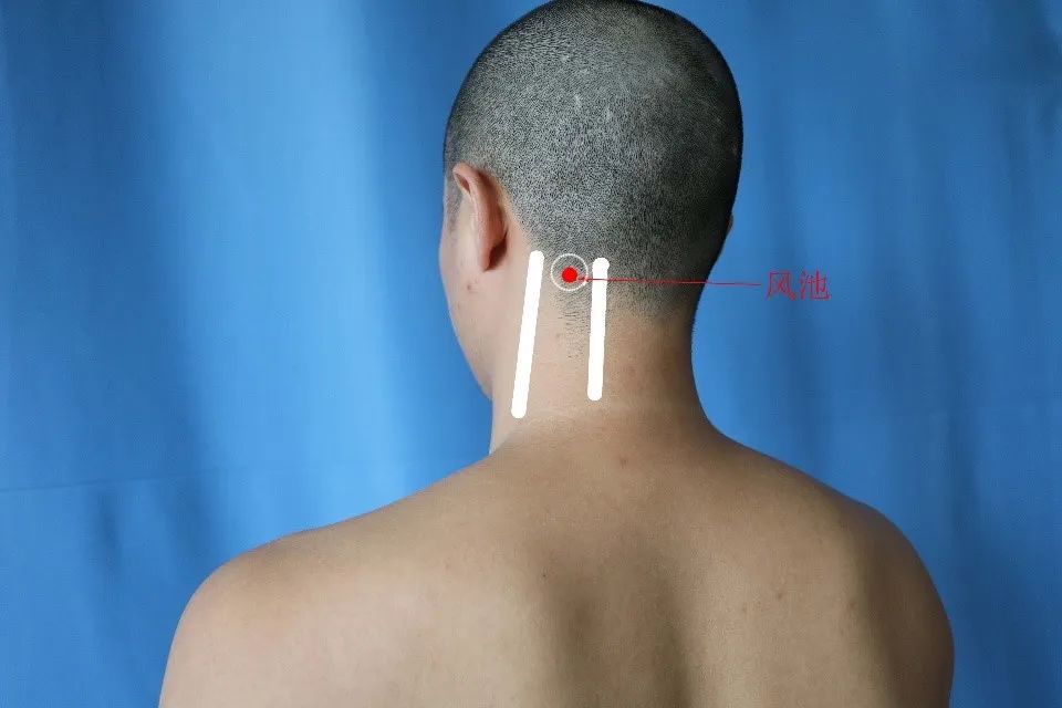 1651124376967312.jpg 640 (14).jpg