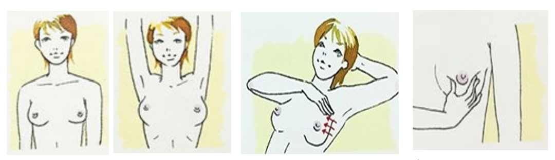 640 (3).png
