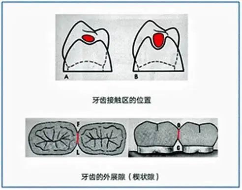 640 (13).jpg
