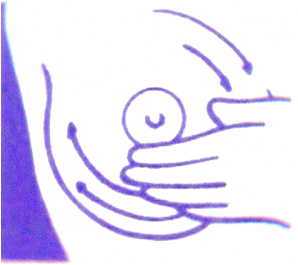 640 (4).png