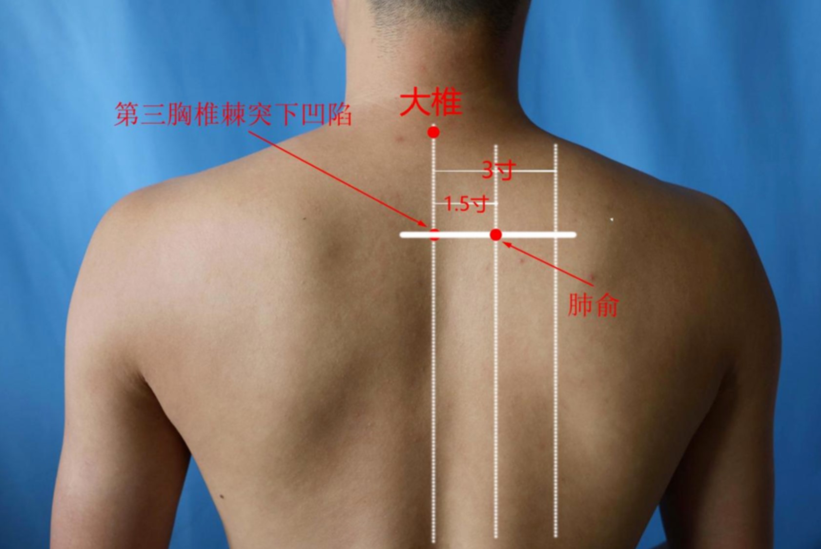 1684212502670931.jpg 屏幕截图 2023-05-16 123350.jpg