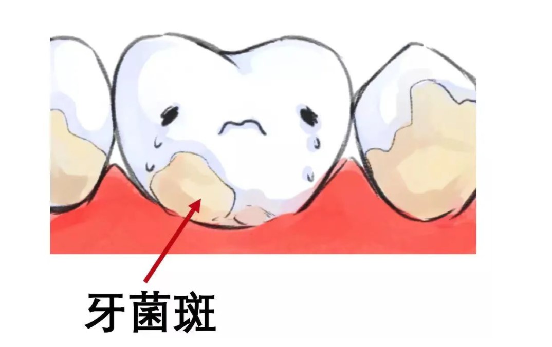 1686138566272192.jpg 屏幕截图 2023-06-07 194824.jpg