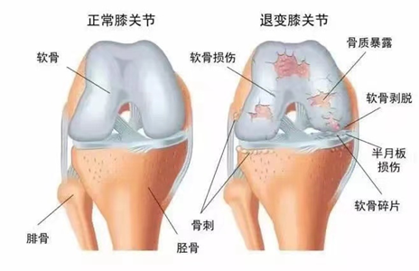 1686875746557188.png 图片7.png
