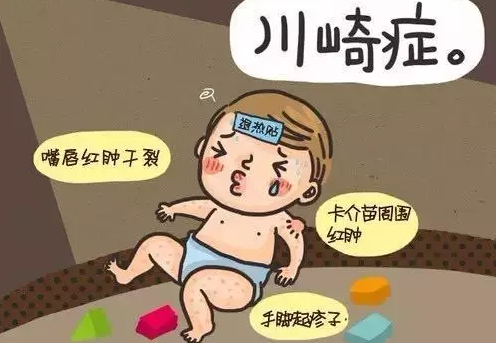 图片31.png