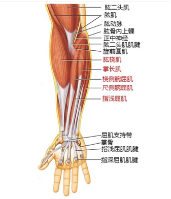 1693271590743932.png 图片5.png