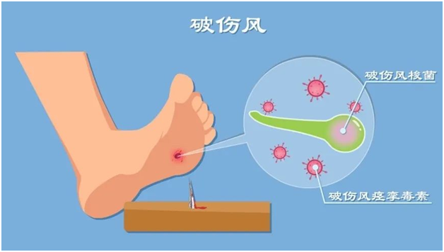 1693275393591198.png 图片17.png