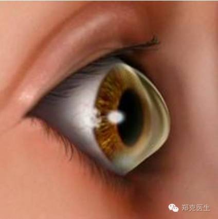1693277446786498.jpg 图片34.jpg