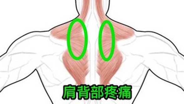 图片47.png