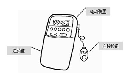 图片11.png