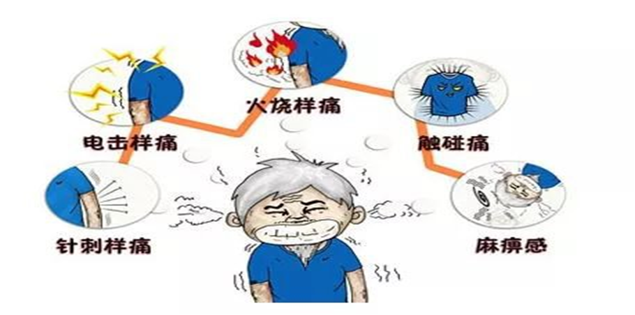 图片12.png