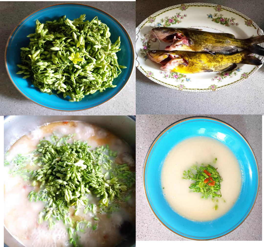 图片37.png