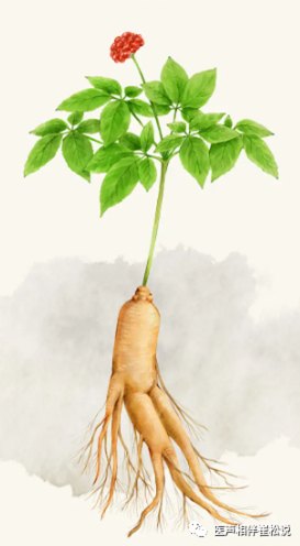 1697791042141089.png 图片10.png