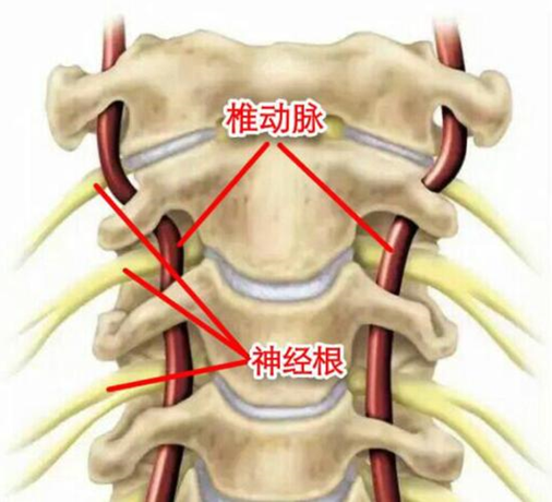 1697791490705039.png 图片16.png