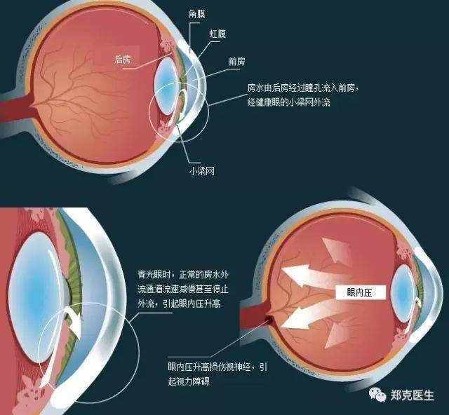 微信图片_20230307162412.jpg