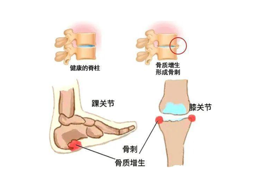 1698310224345685.png 图片3.png