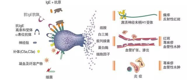 图片15.png