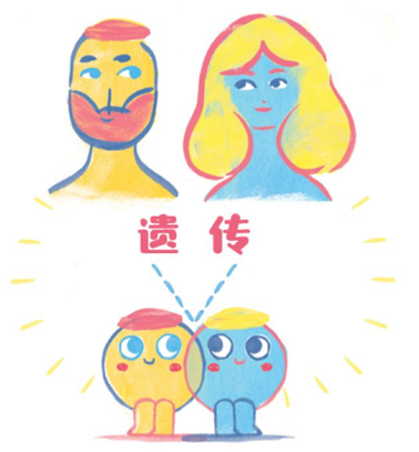 图片10.png