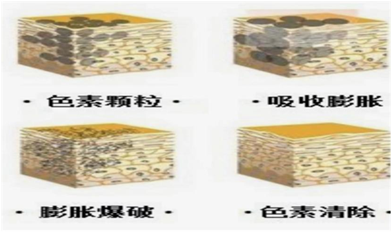 1705630594311633.png 图片5.png
