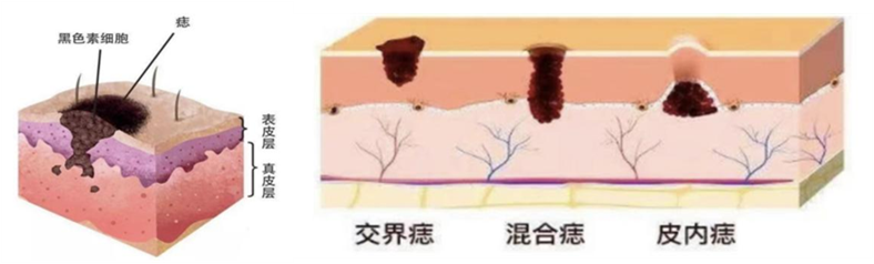 1705630696759985.png 图片7.png