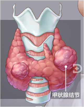 1705812137122732.png 1.png