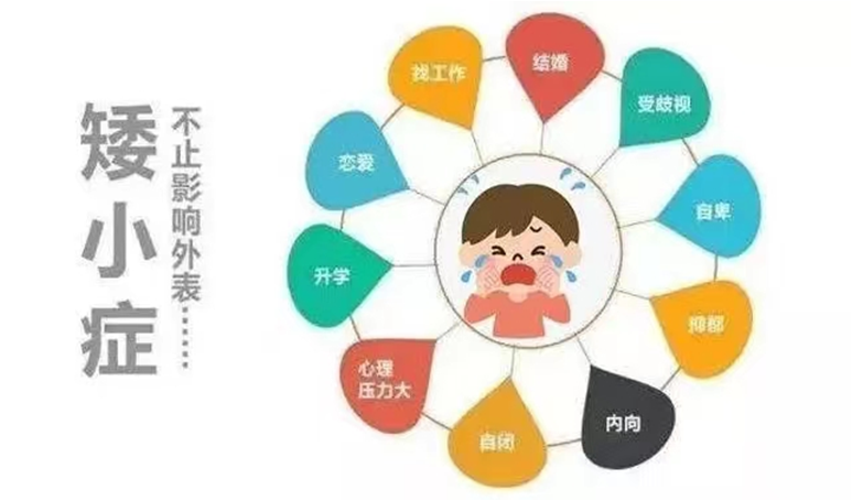 图片13.png