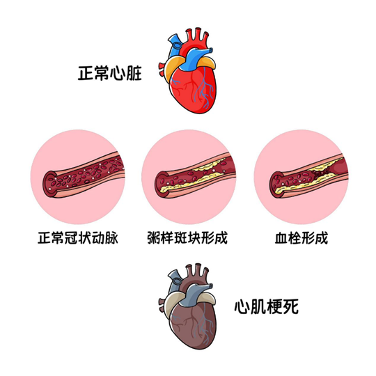 1708177441221898.png 1.png