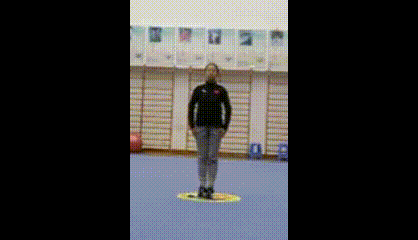 3.gif