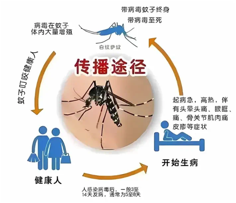 1739710078999053.png 图片2.png