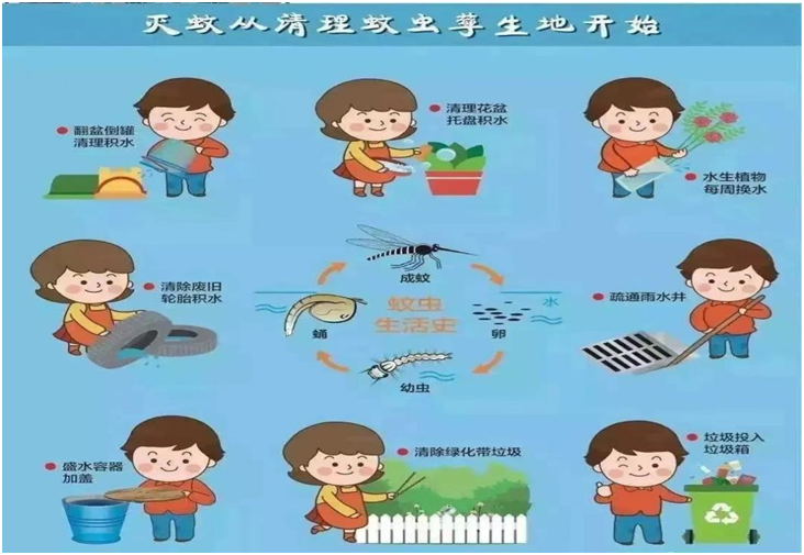 1739710088744843.png 图片5.png