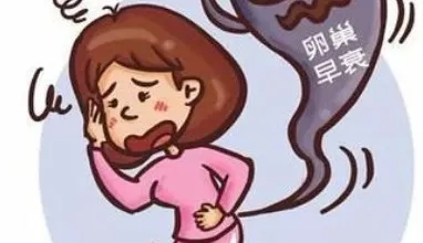1739710245899785.png 图片1.png