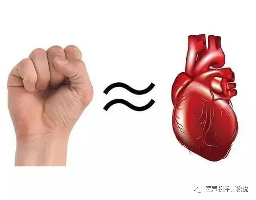 1739710584220551.png 图片1.png