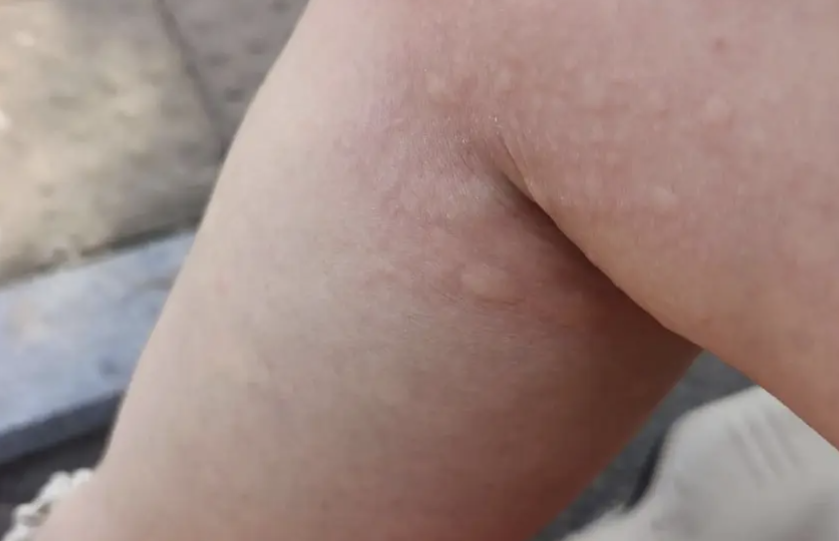 屏幕截图 2025-02-16 220947.png